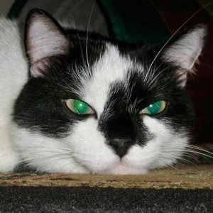 Meet your Posher, Gale